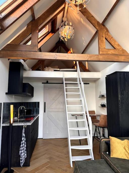 Willa Tiny House Of Picasso Warmenhuizen Zewnętrze zdjęcie